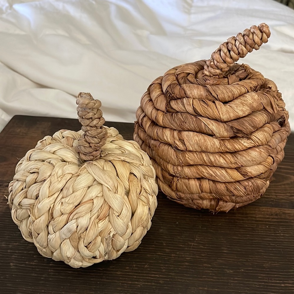 Wicker PUMPKIN Set (2)